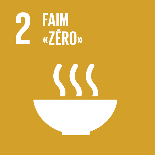 ODD 2 — Faim zéro