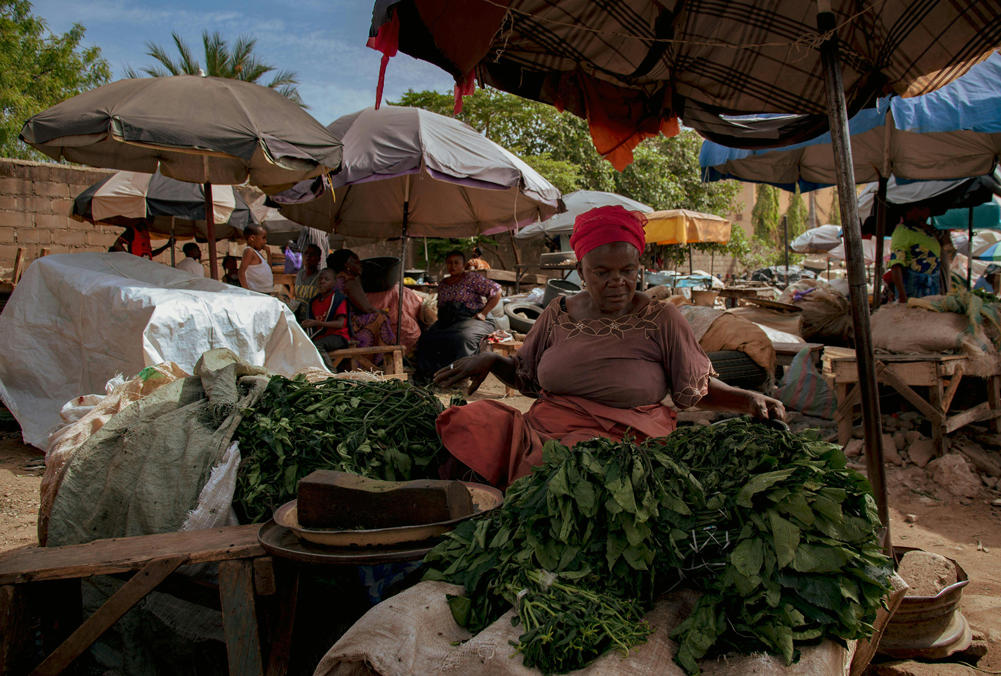 Femmes entrepreneures
